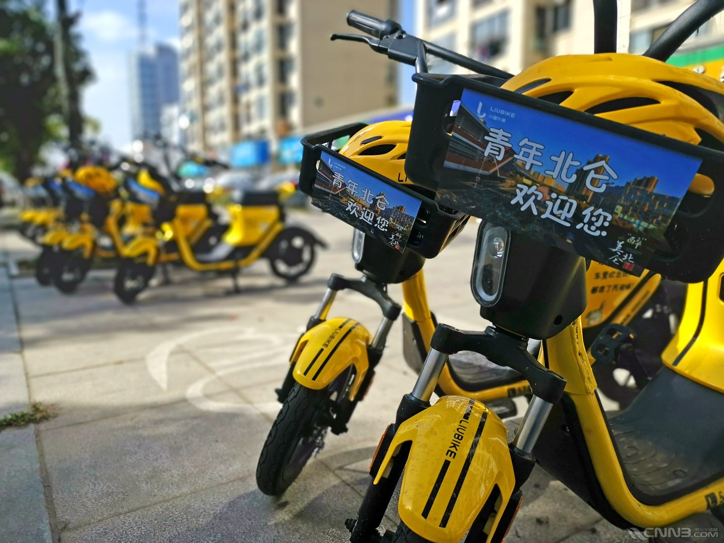 首批小遛共享电单车今起正式投放北仑市场