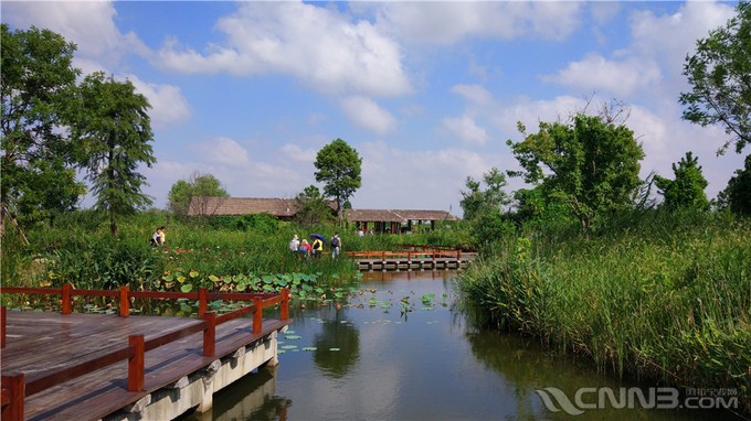 首页 论坛 阿拉宁波·生活 阿拉旅游 玩转宁波杭州湾湿地公园,只要六