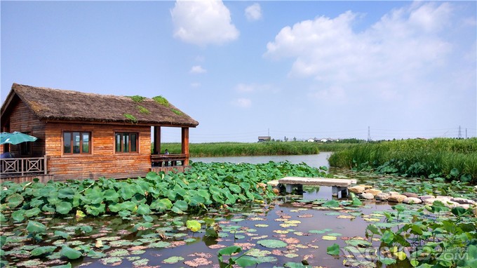 首页 论坛 阿拉宁波·生活 阿拉旅游 玩转宁波杭州湾湿地公园,只要六