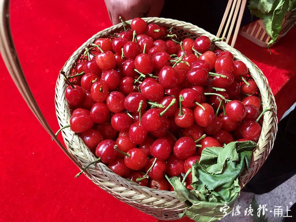 宁波人爱吃的这种水果上市了!今年减产1/3,价格嘛