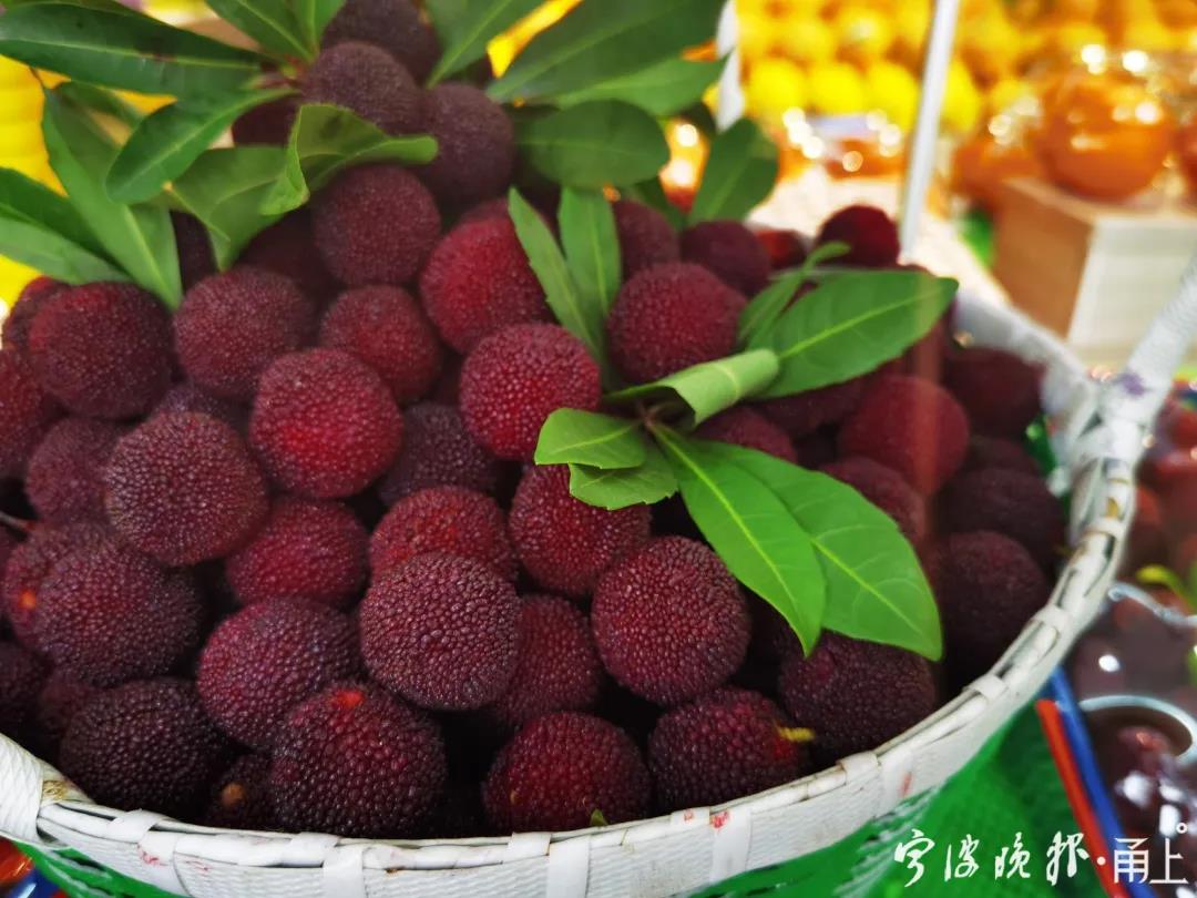 宁波本地杨梅上市了!60元左右/斤!