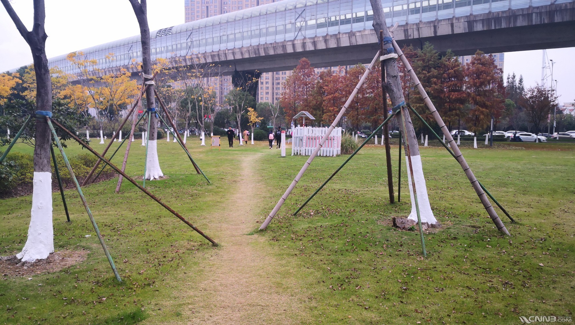 蓝山小区后门进出人员踩踏草坪