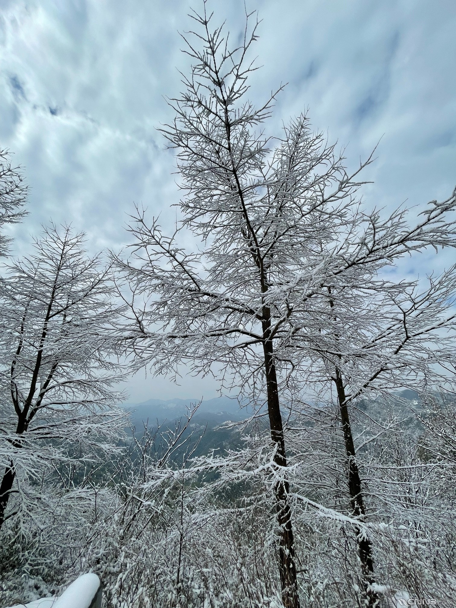 四明山雪景 - 阿拉樓市 - 新北侖 - 阿拉寧波網 -