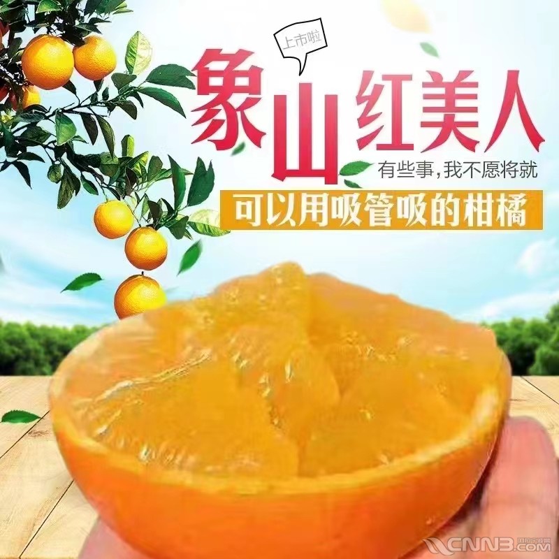 红美人.jpg