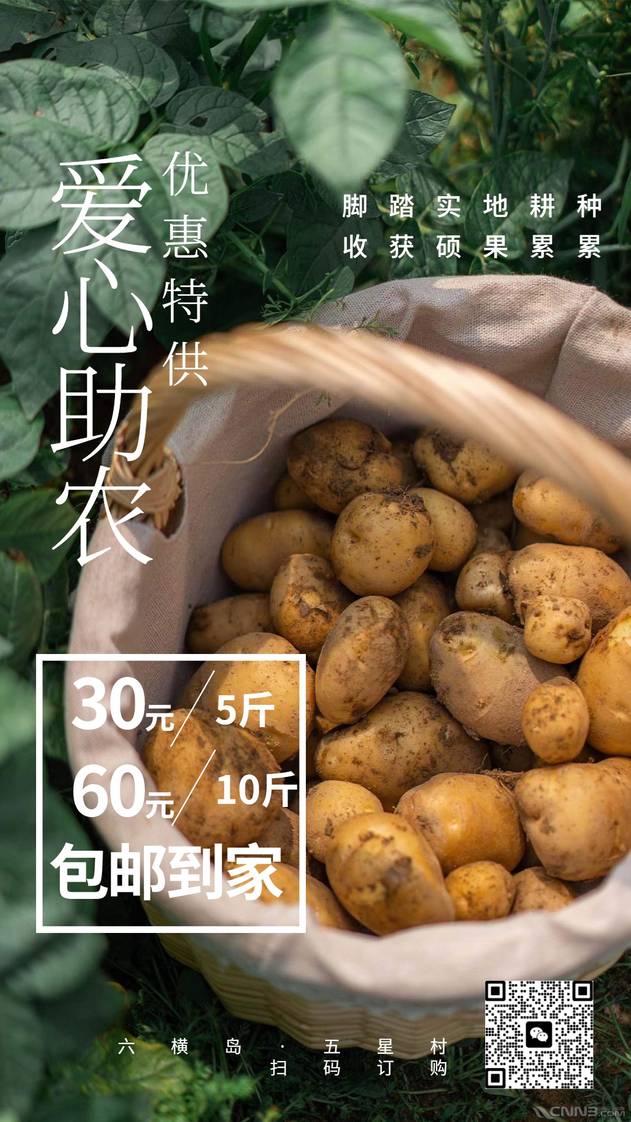 通用中国农民丰收节宣传公众号首图 (1).jpg