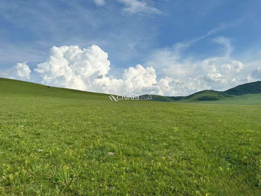 171884750781350_859.png
