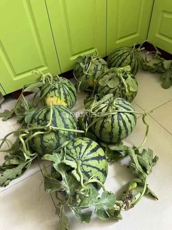 _1_酸酸的山楂_来自小红书网页版.jpg