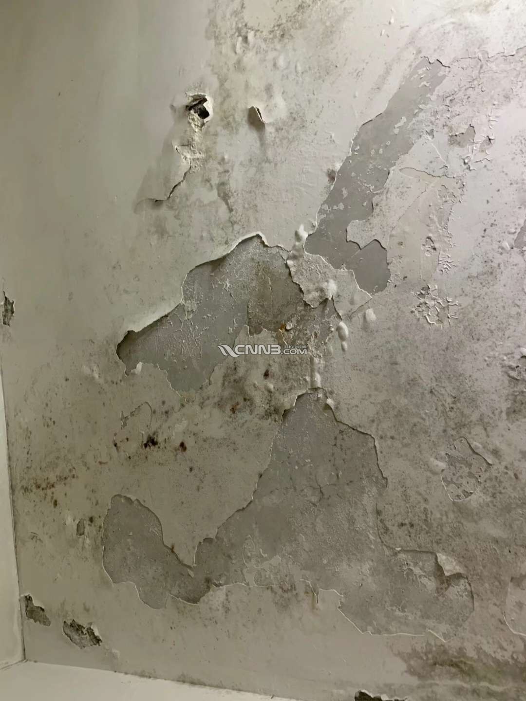 1718873284877946_436.jpg