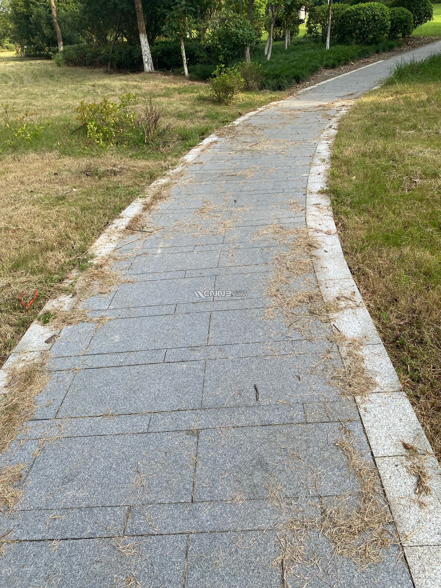 1720652013032978983.jpg