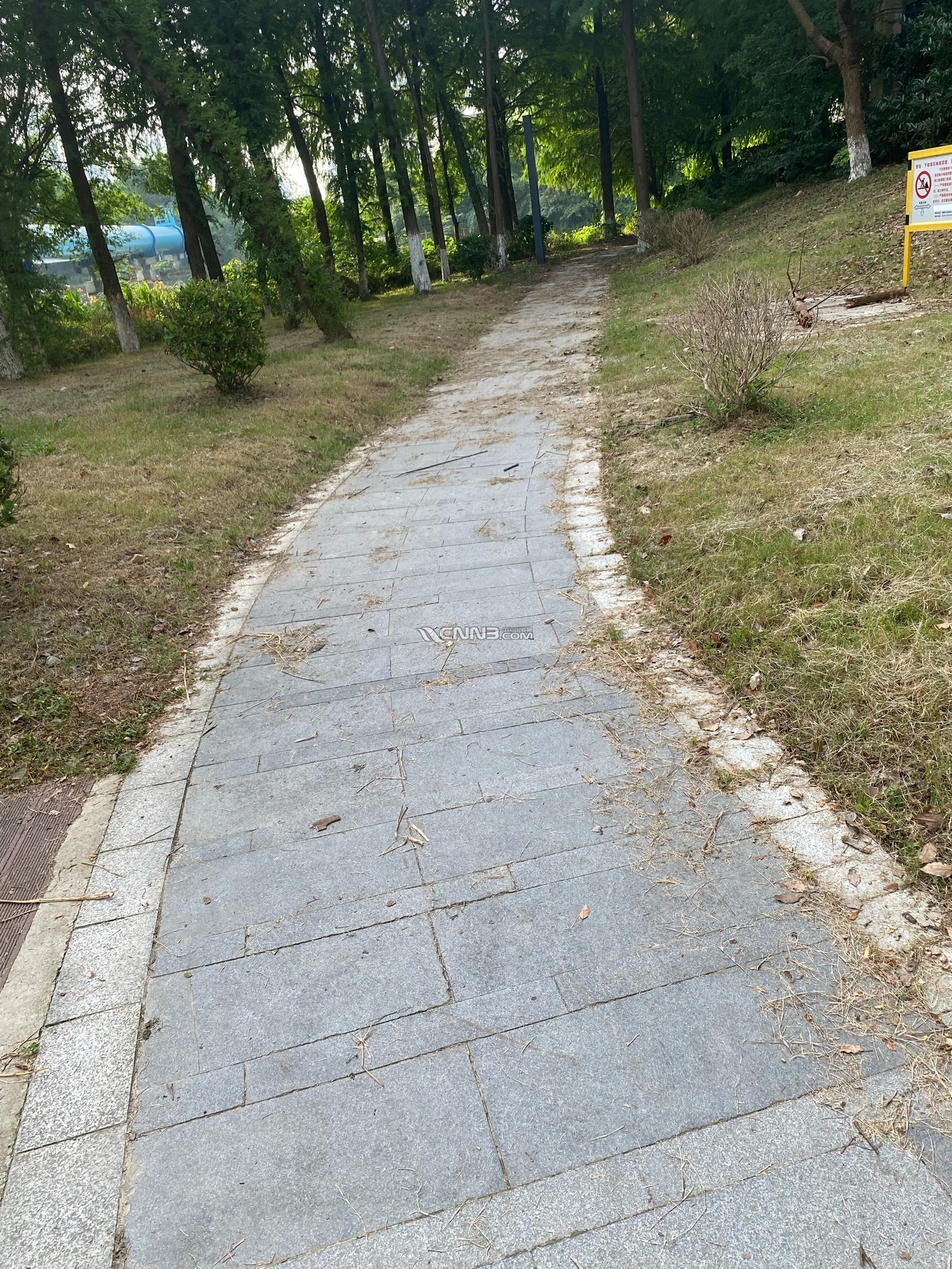 1720652014045126449.jpg