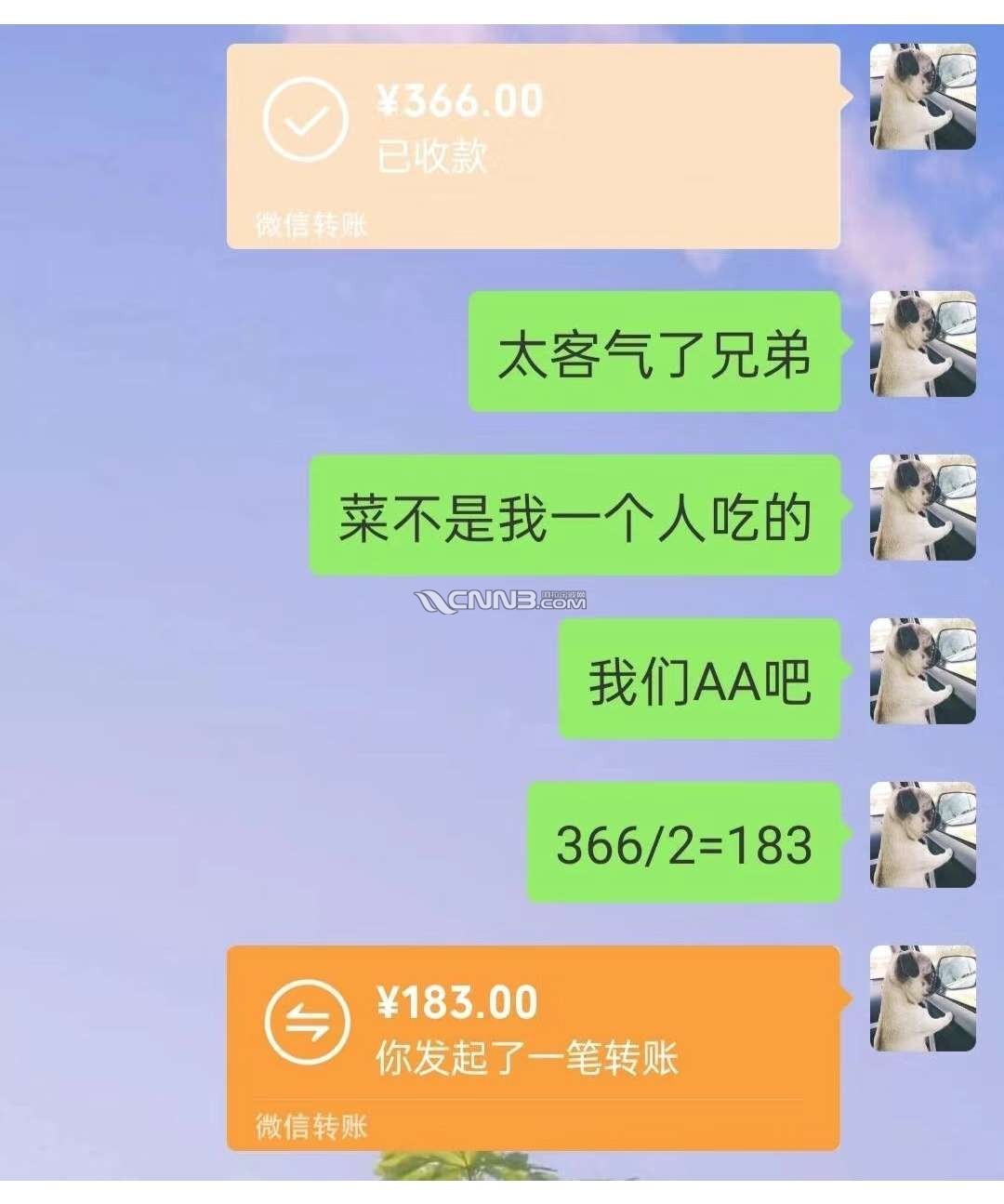 1721027525546237_975.jpg