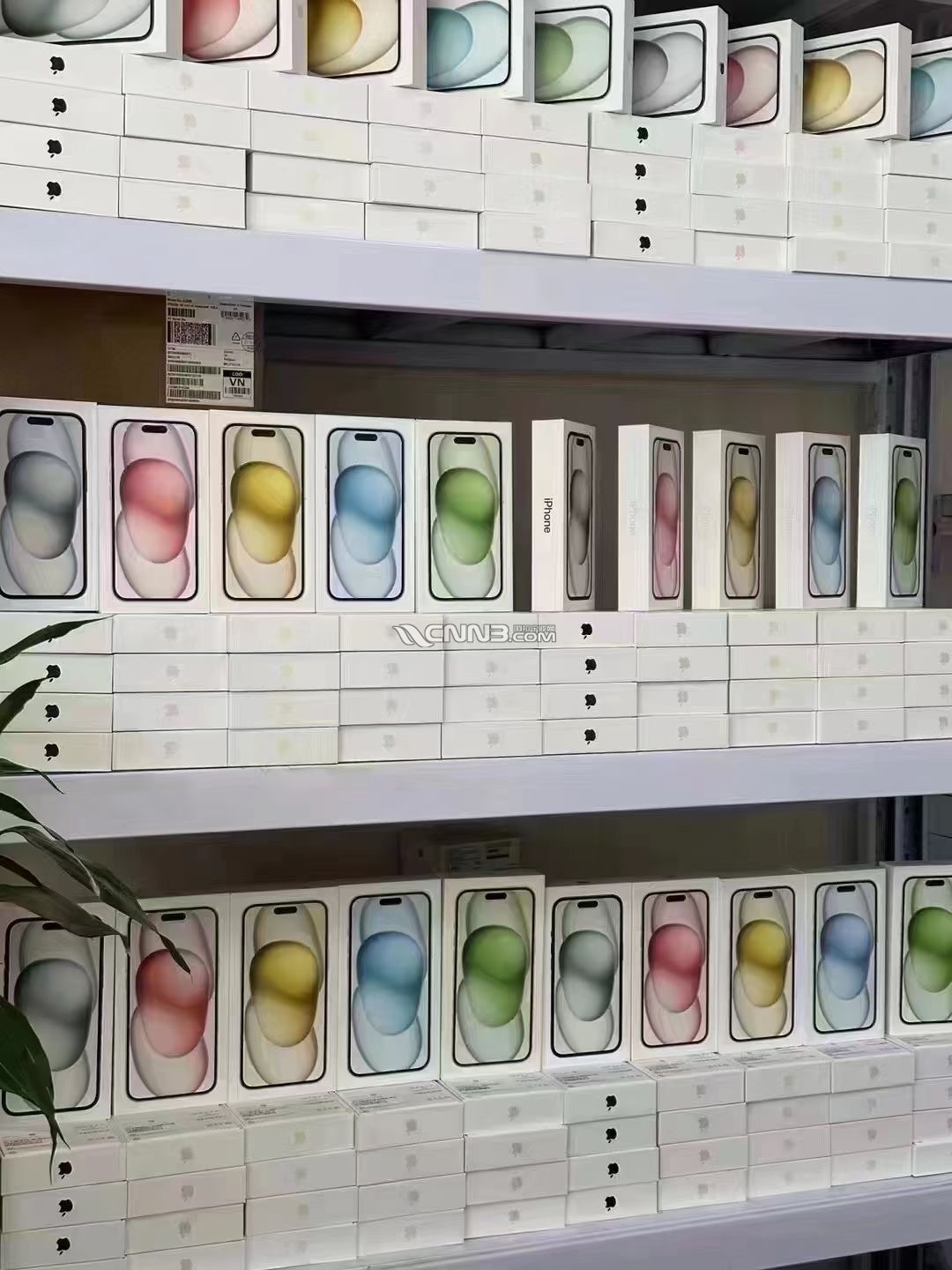 1723695789347252695.jpg
