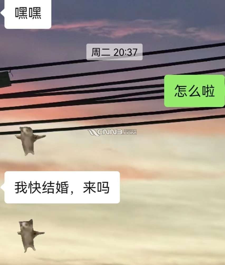 1723710341554155_566.jpg
