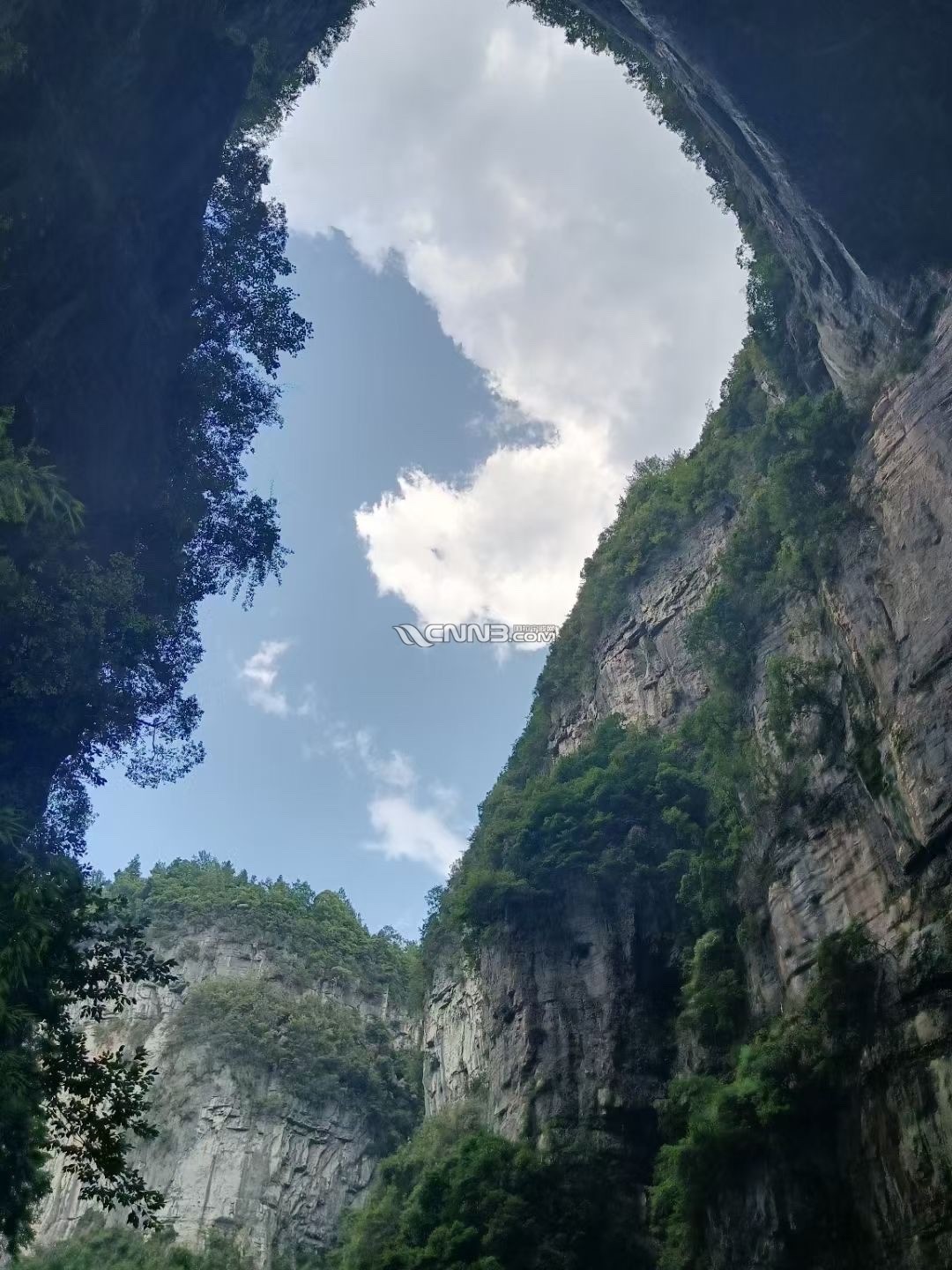 1723962258208642143.jpg