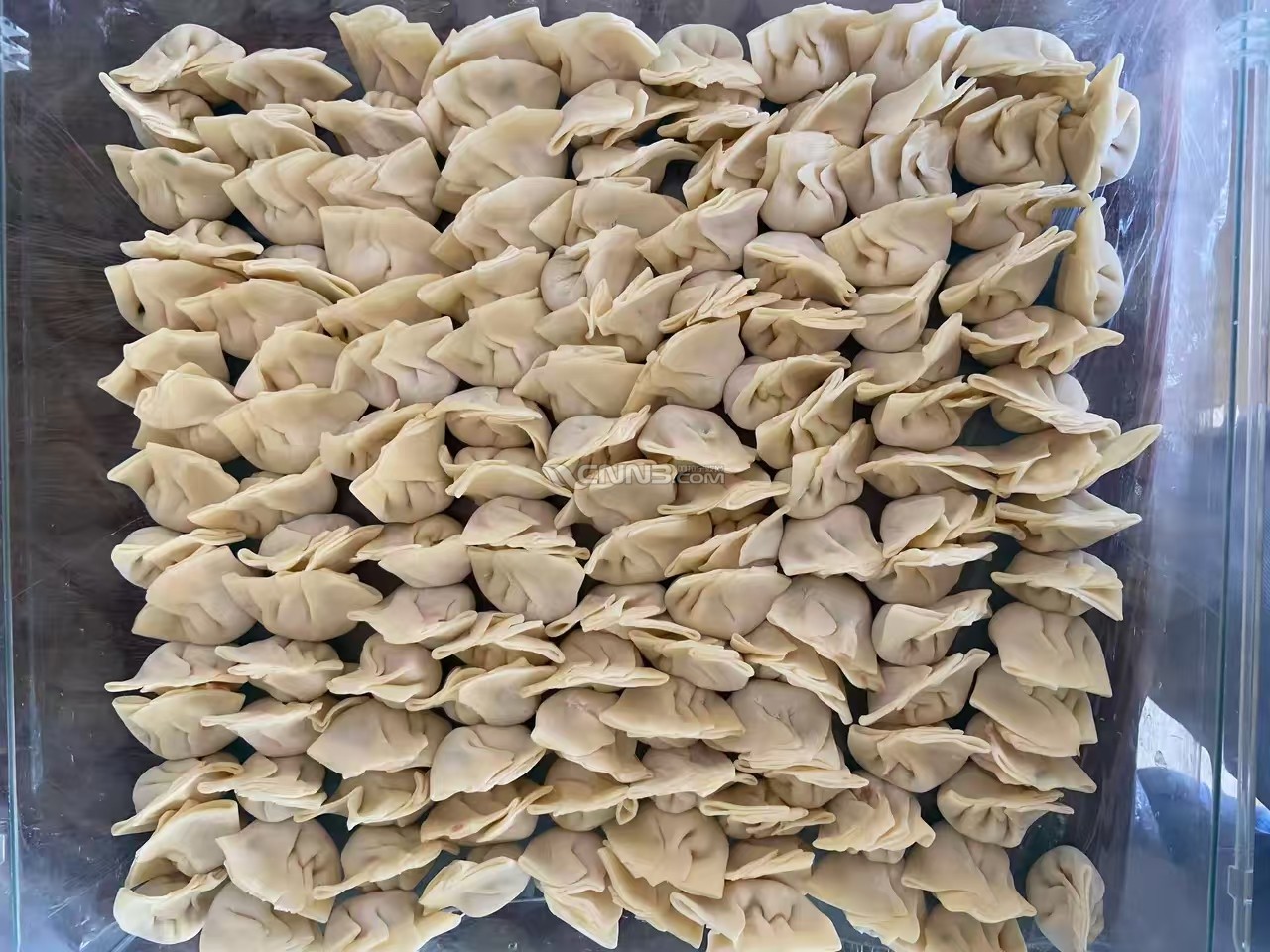微信图片_20240904154752.jpg