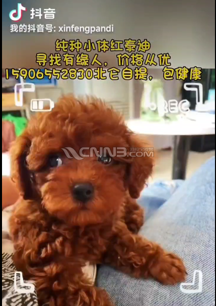 微信图片_20240923152336.png