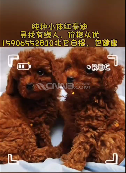 微信图片_20240923152340.png
