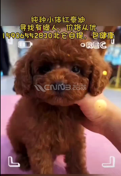 微信图片_20240923152233.png