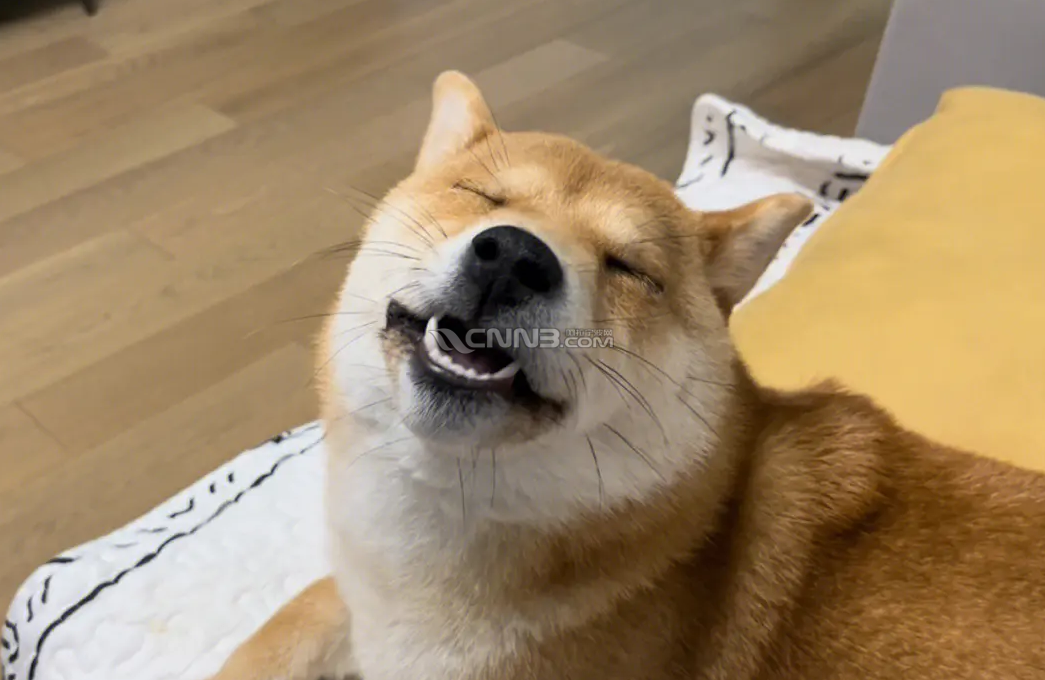 微信图片_20241007093638.png
