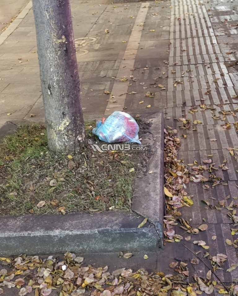 1731050913956961_108.jpg