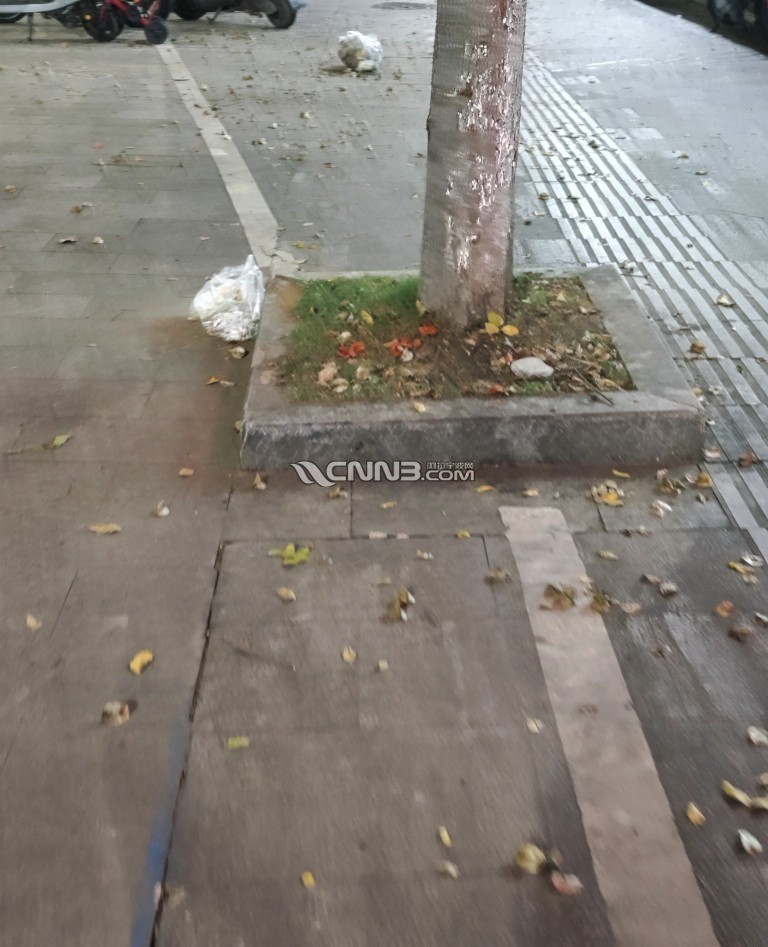 1731050914007220_612.jpg