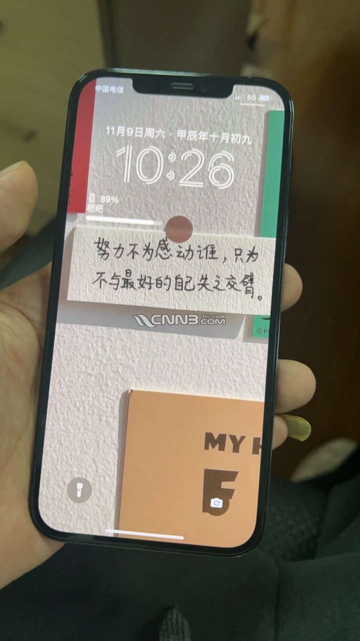 1731119175435468465.jpg
