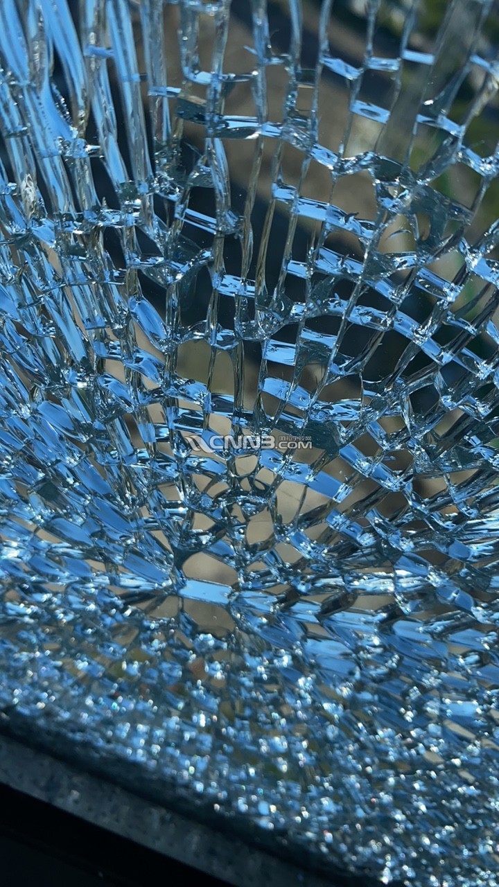 1731314145809804161.jpg