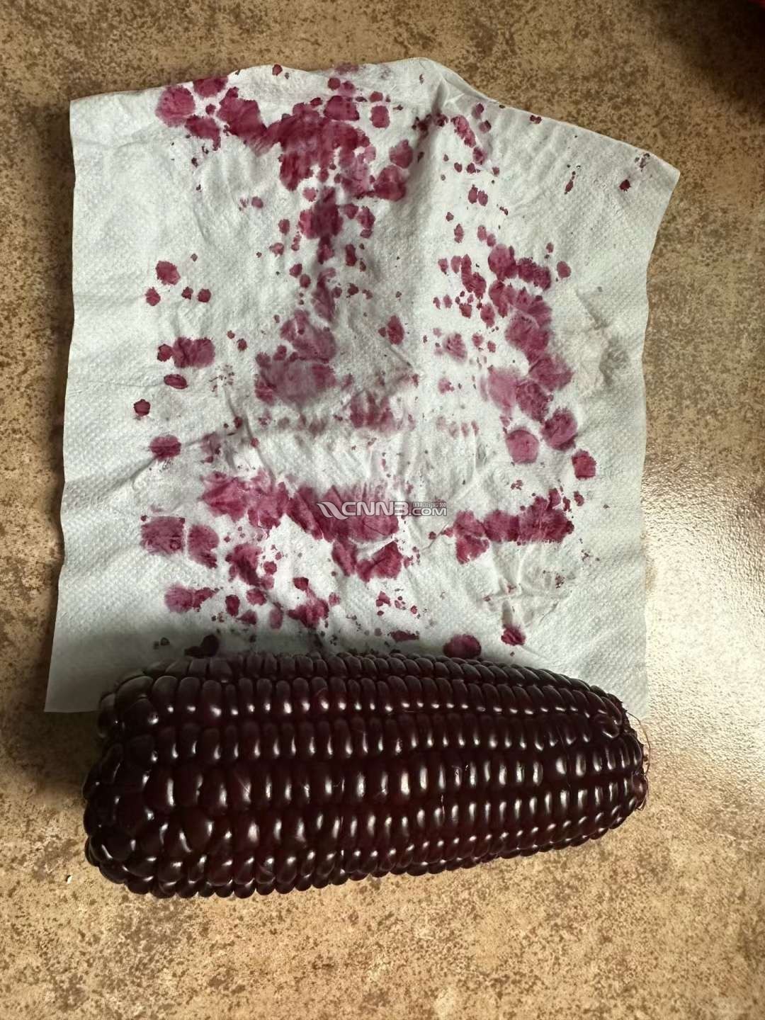 1731570040691278_702.jpg