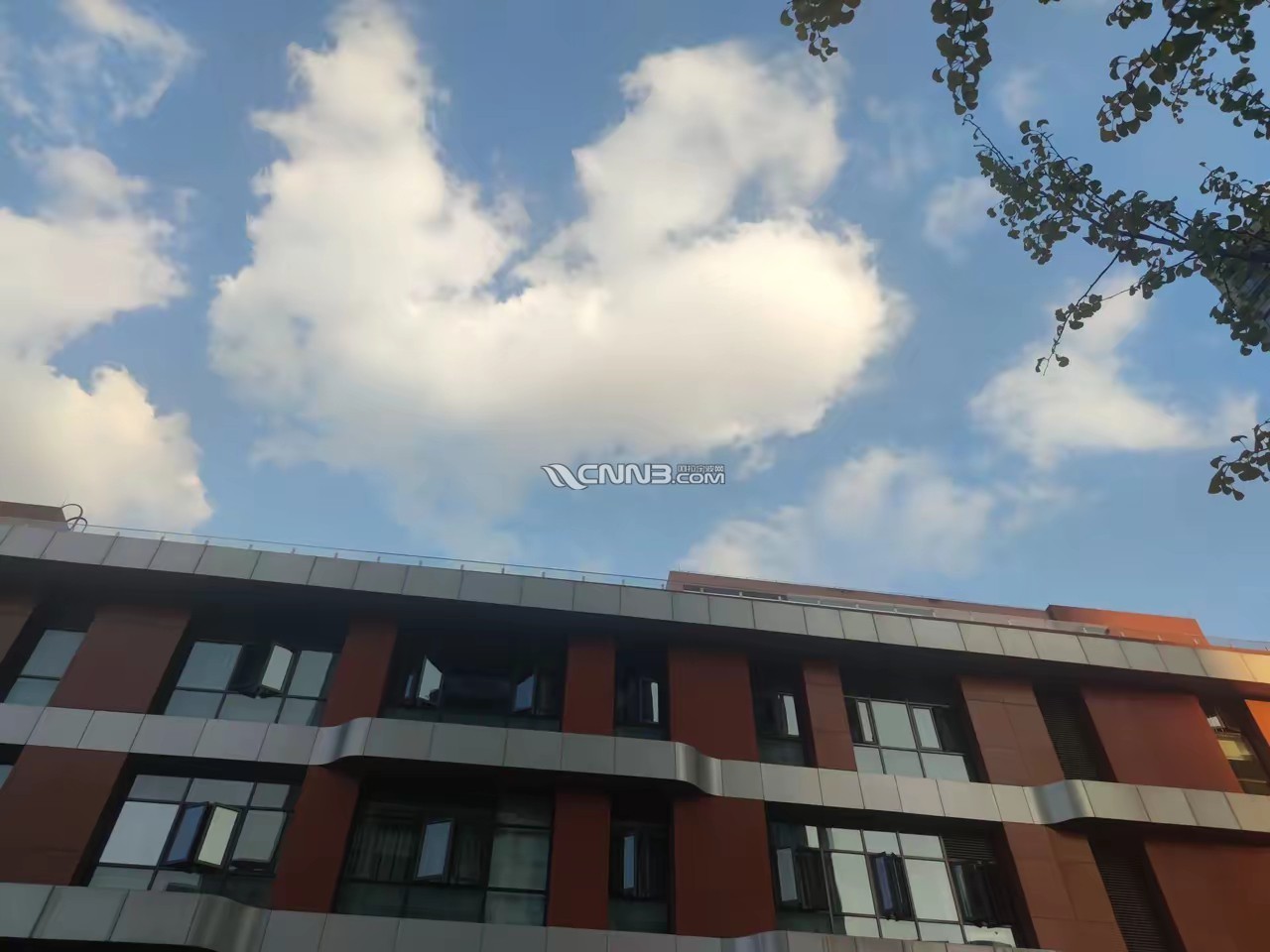 173166031676236_689.jpg