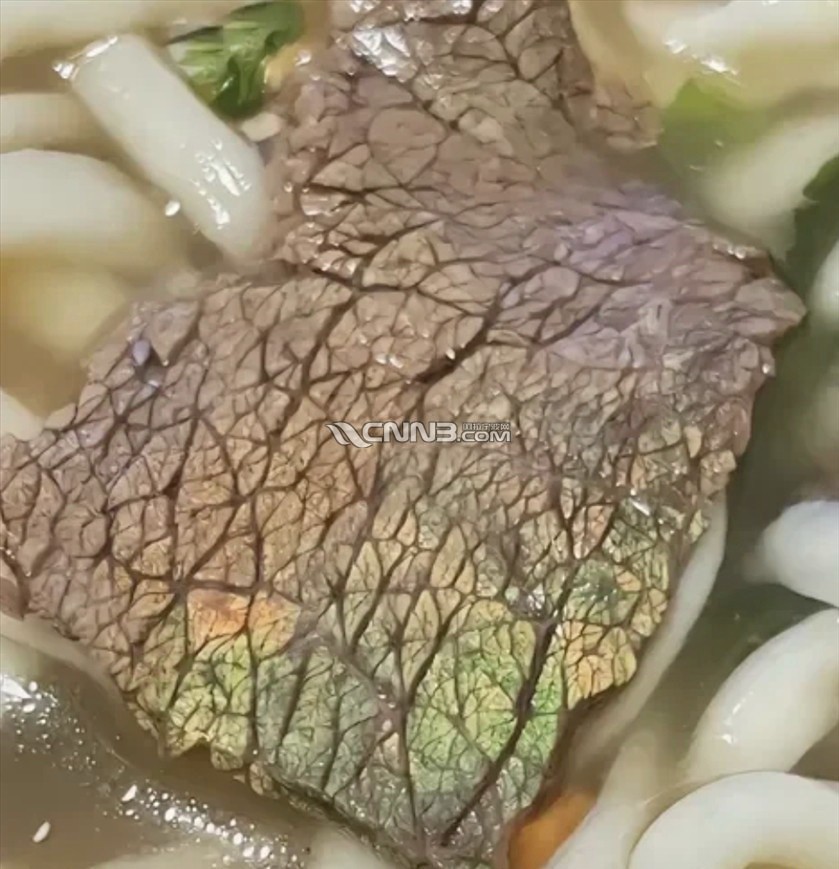 1731821031413151_241.jpg