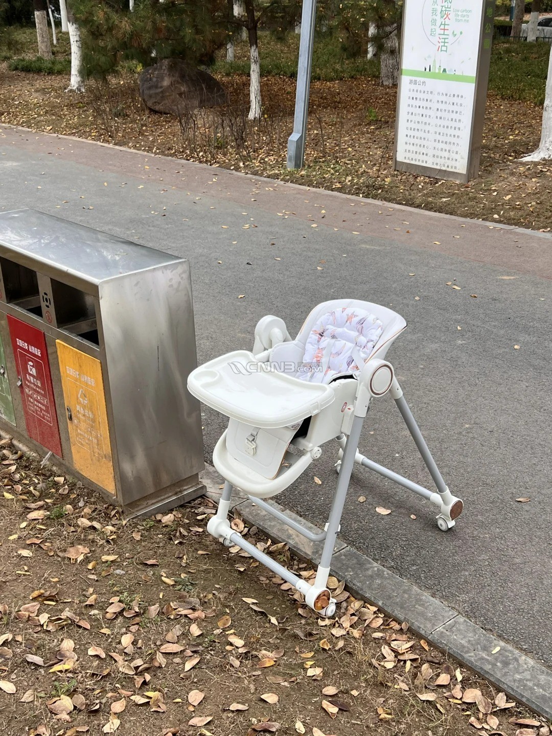 要不要捡回家❓❓❓_1_是小虎麻麻_来自小红书网页版_看图王.jpg