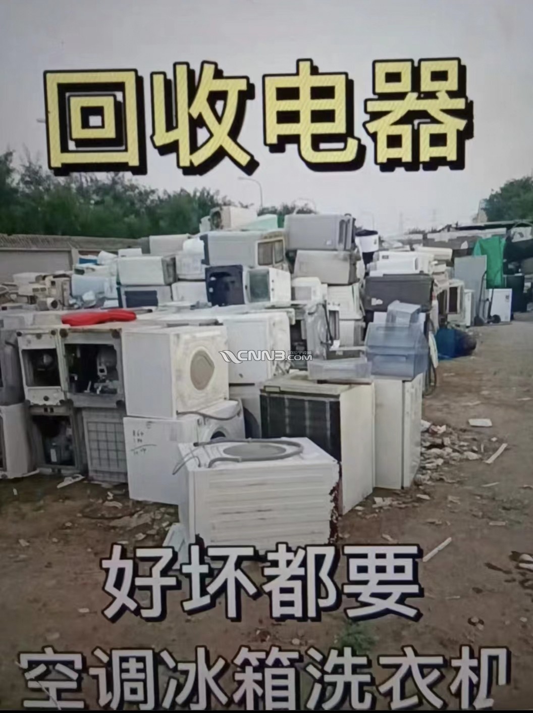 17327181340586_338.jpg