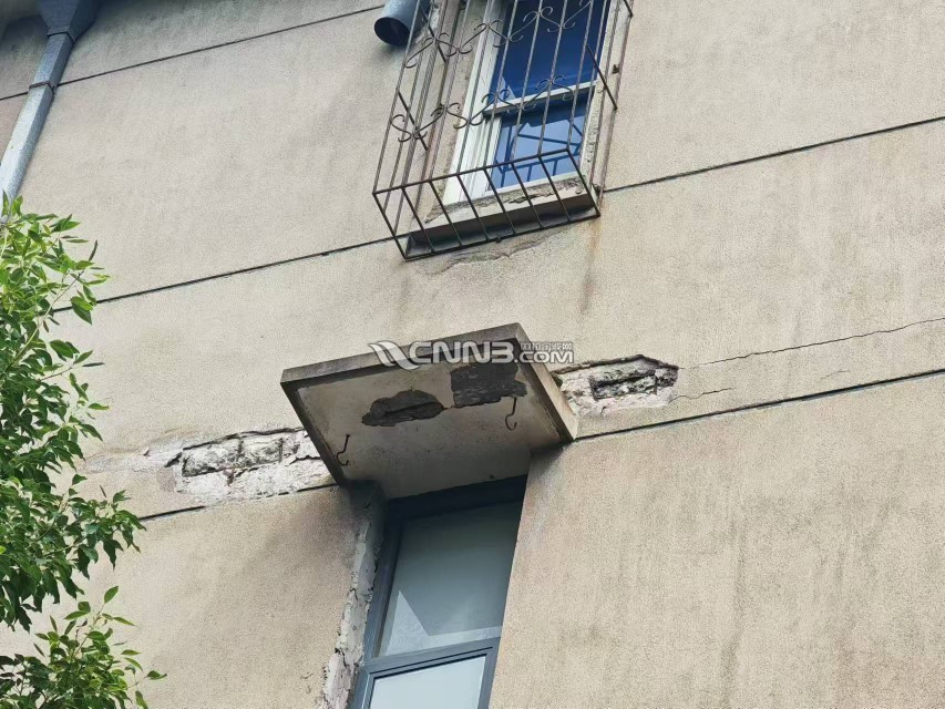 1733643754056634_349.jpg