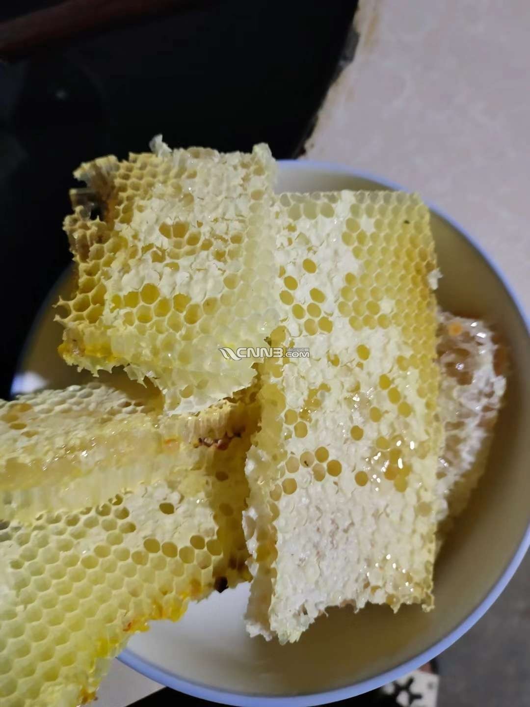 1733816276659318_265.jpg