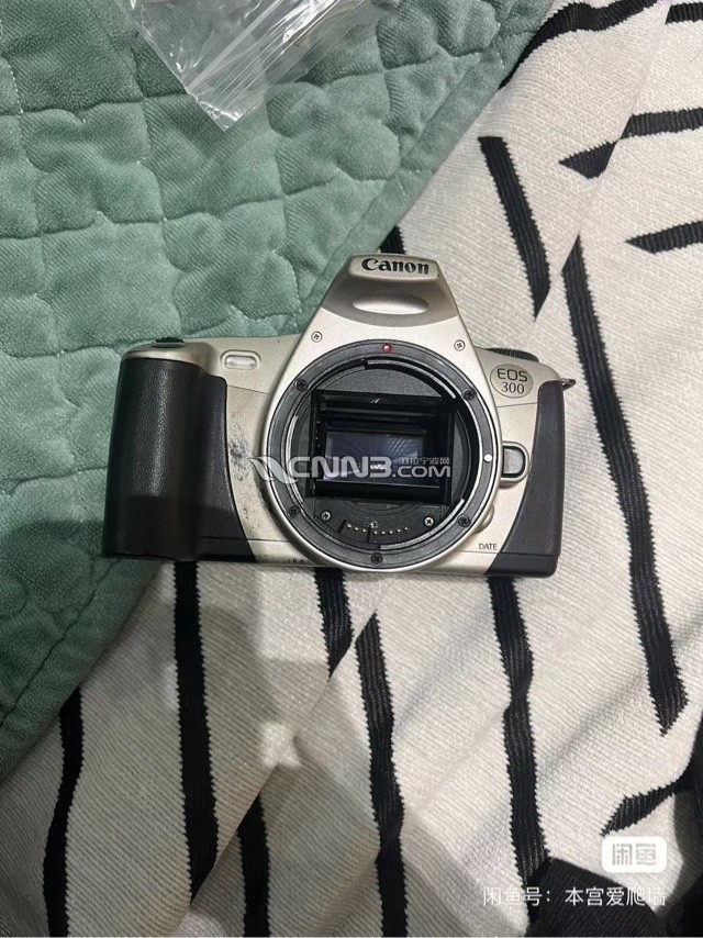 1734918149884933454.jpg
