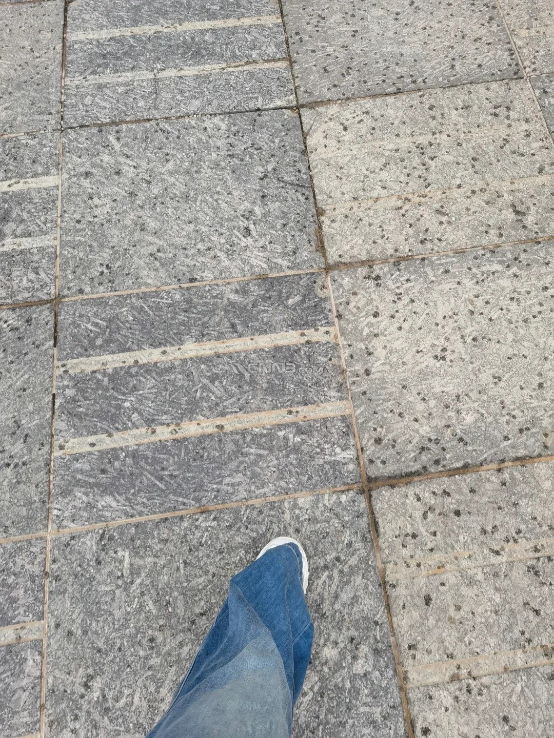 又又又又又忘记打卡_1_想吃一大碗凉面_来自小红书网页版.jpg