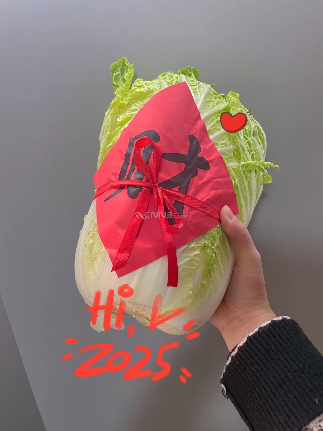新家的第一个新年！