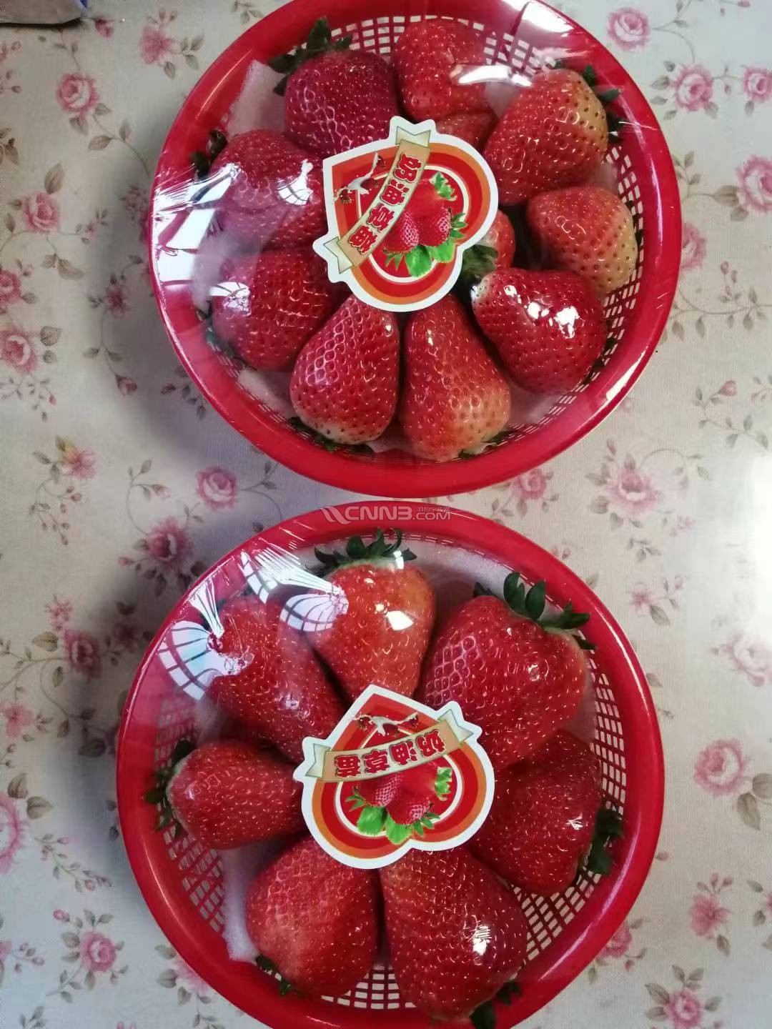 微信图片_20250119204342.jpg