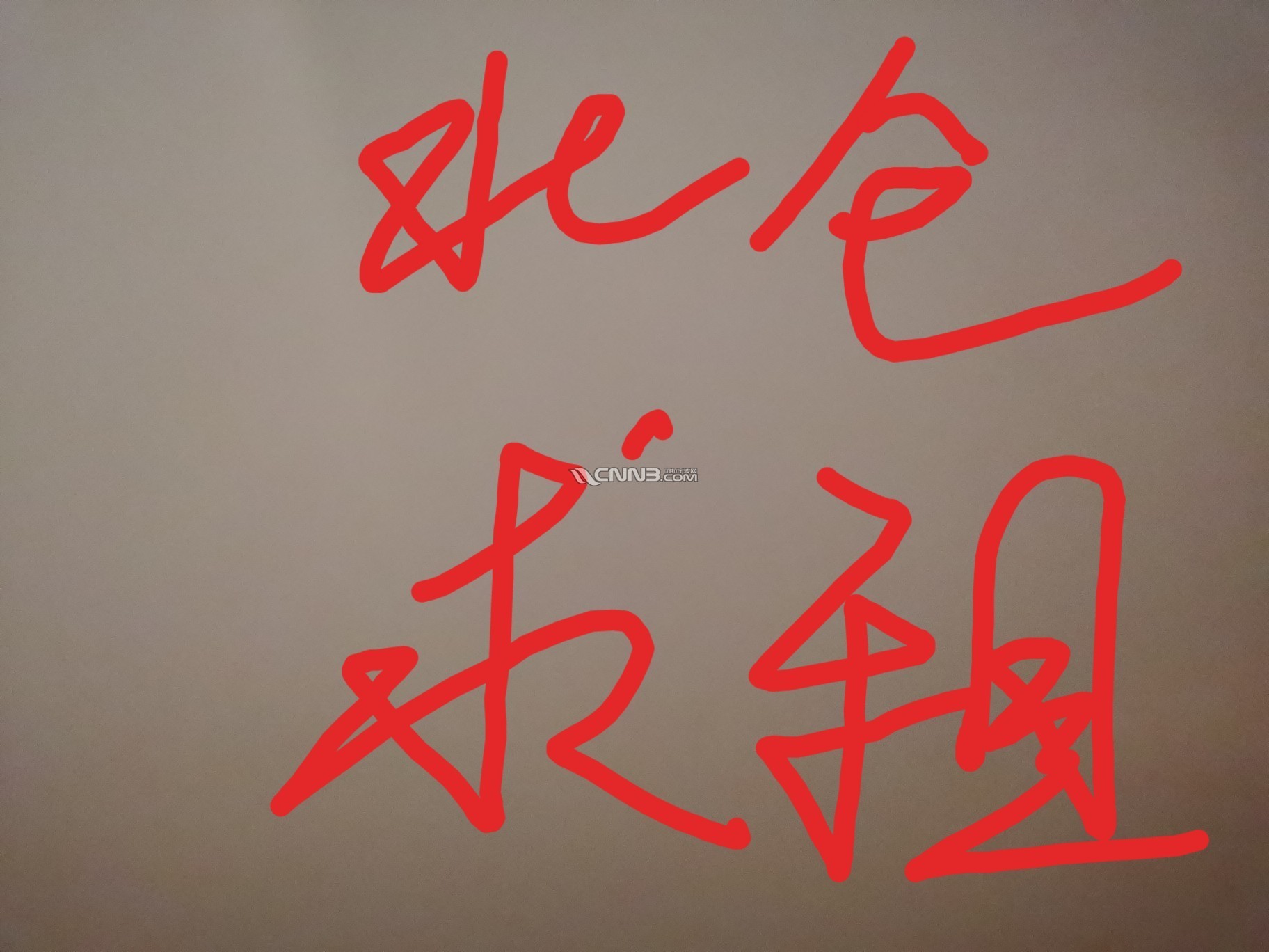 1739168524677447_475.jpg