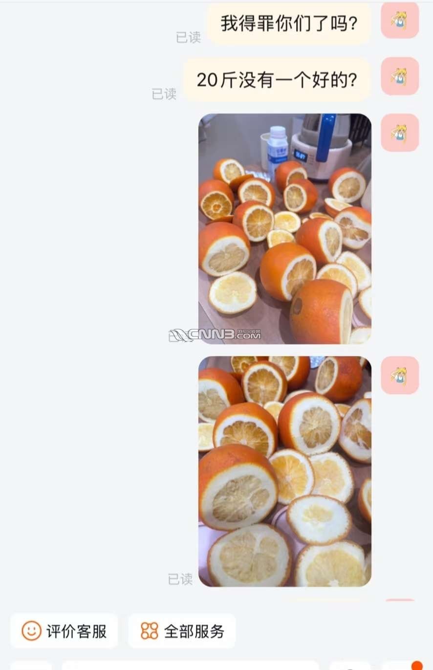 174031604969043_316.jpg