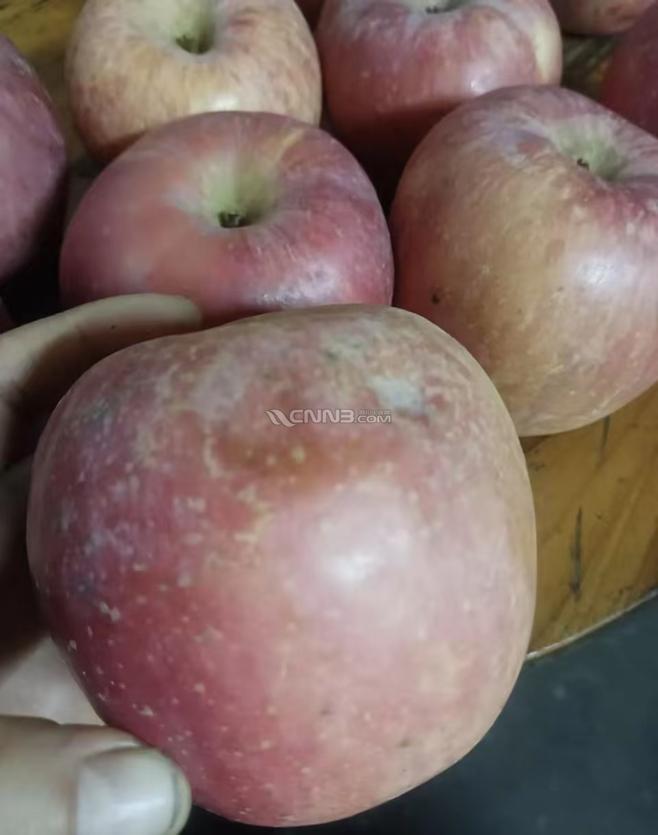 微信图片_20250303162611.jpg