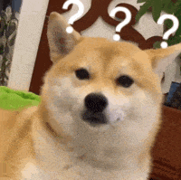 640 (1).gif