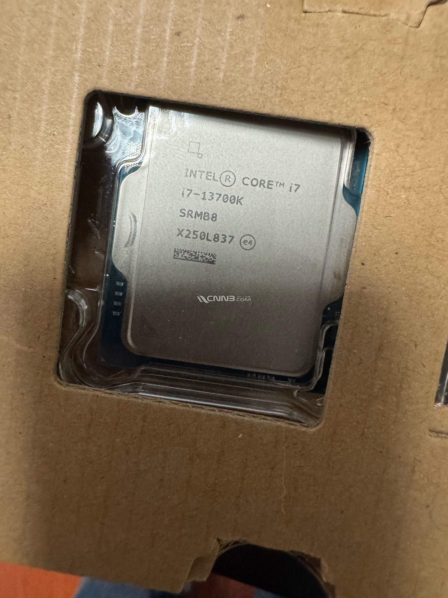 1743652729354431193.jpg