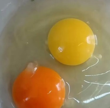 1744011320945674_521.png