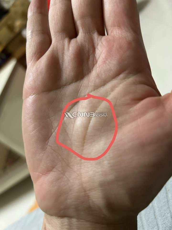 174703751680213_855.jpg