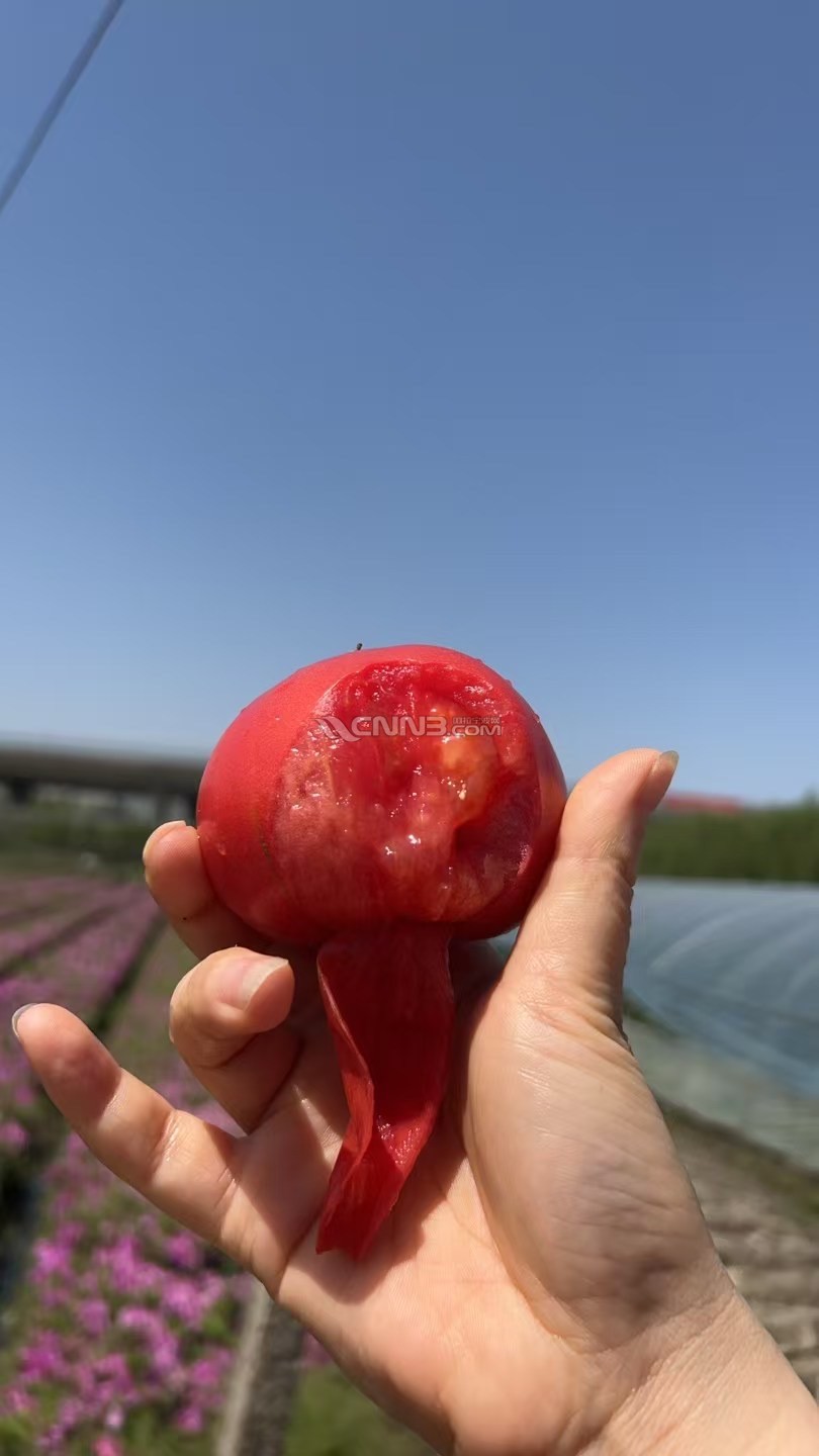 微信图片_20250514141731.jpg