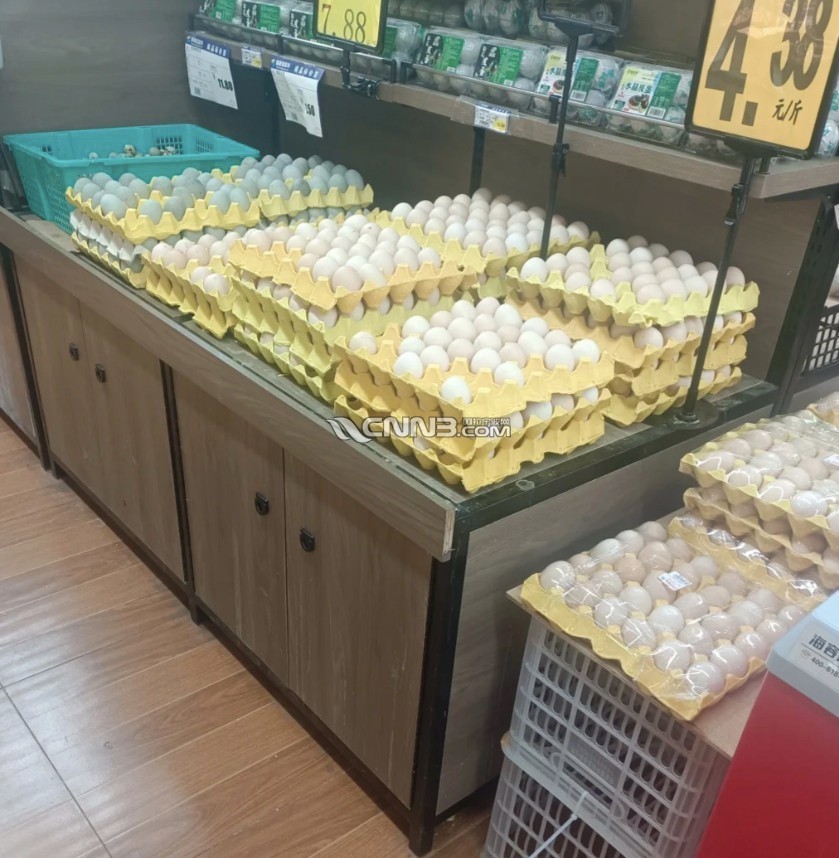 174798808512639_889.jpg