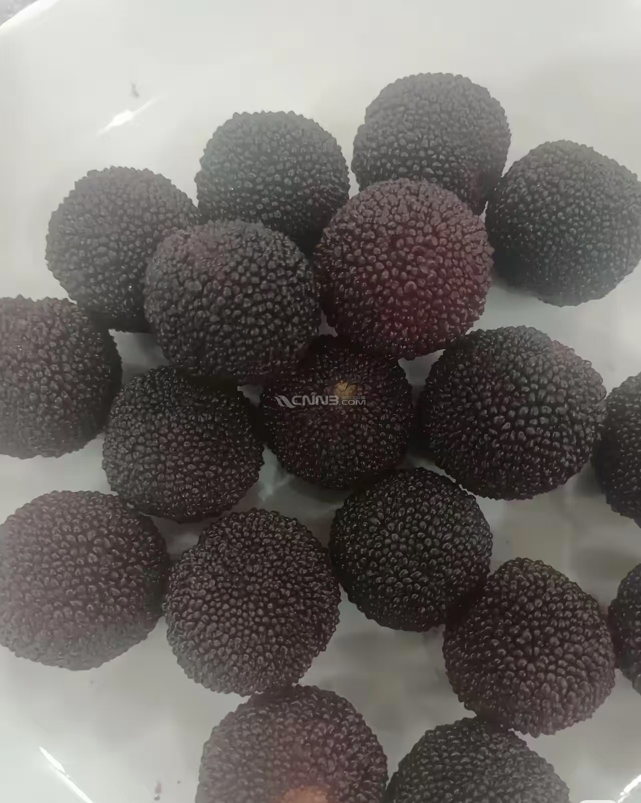 微信图片_20250613163326.jpg