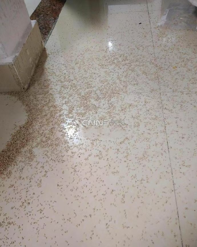 微信图片_20250616161328.jpg