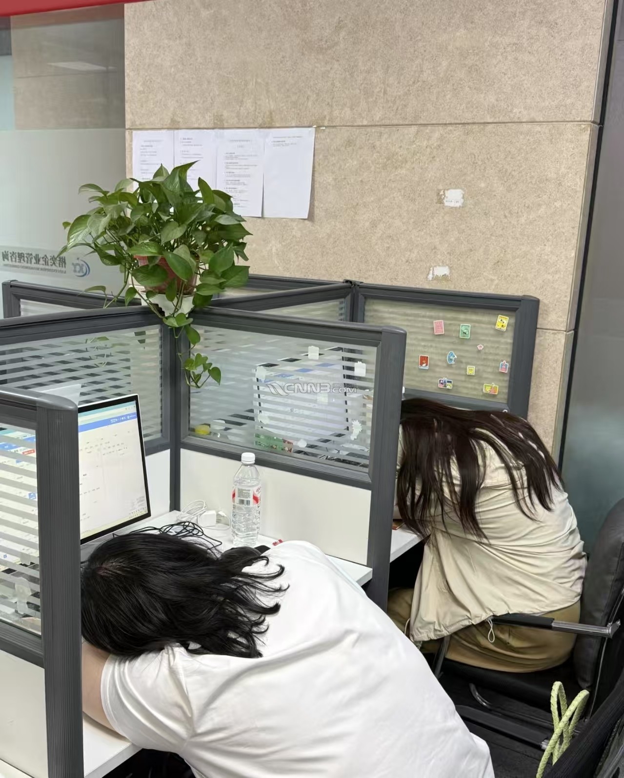 微信图片_20250621101122.jpg